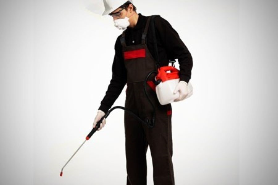 Dedetizadora no Real Parque