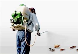 Dedetizadora no Real Parque