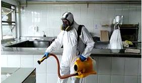 Dedetizadora no Real Parque