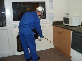 Dedetizadora no Real Parque